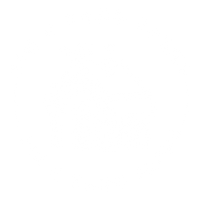 Shop | Yin N Yang Farms Pvt. Ltd.