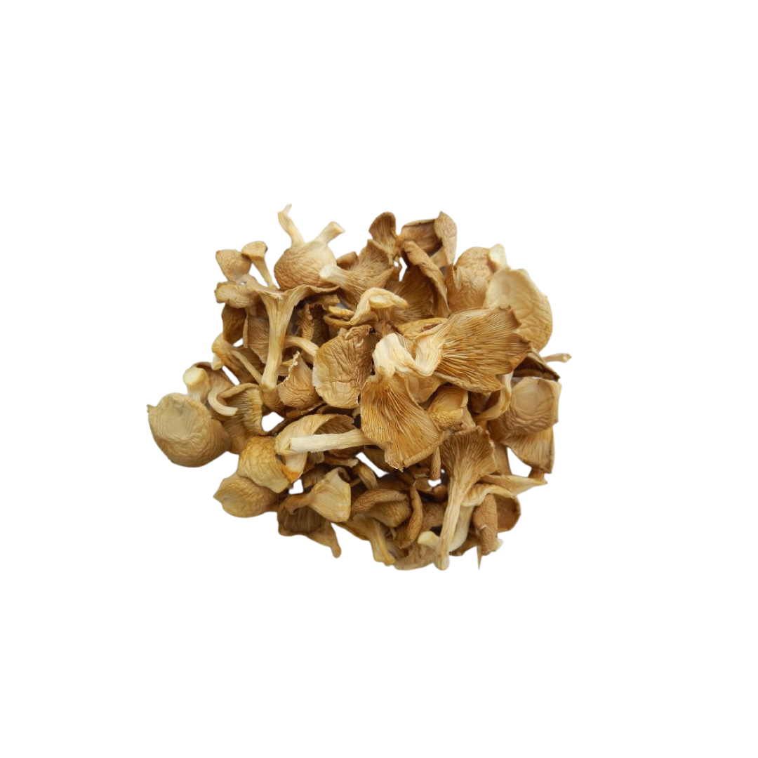 Oyster Mushroom (Dried)