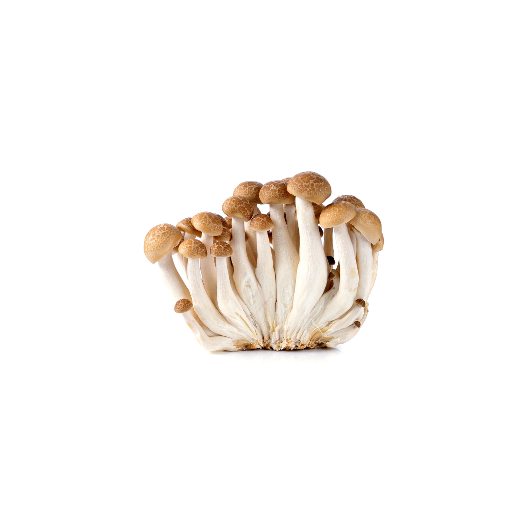 Shimeji Brown Mushroom (Fresh)