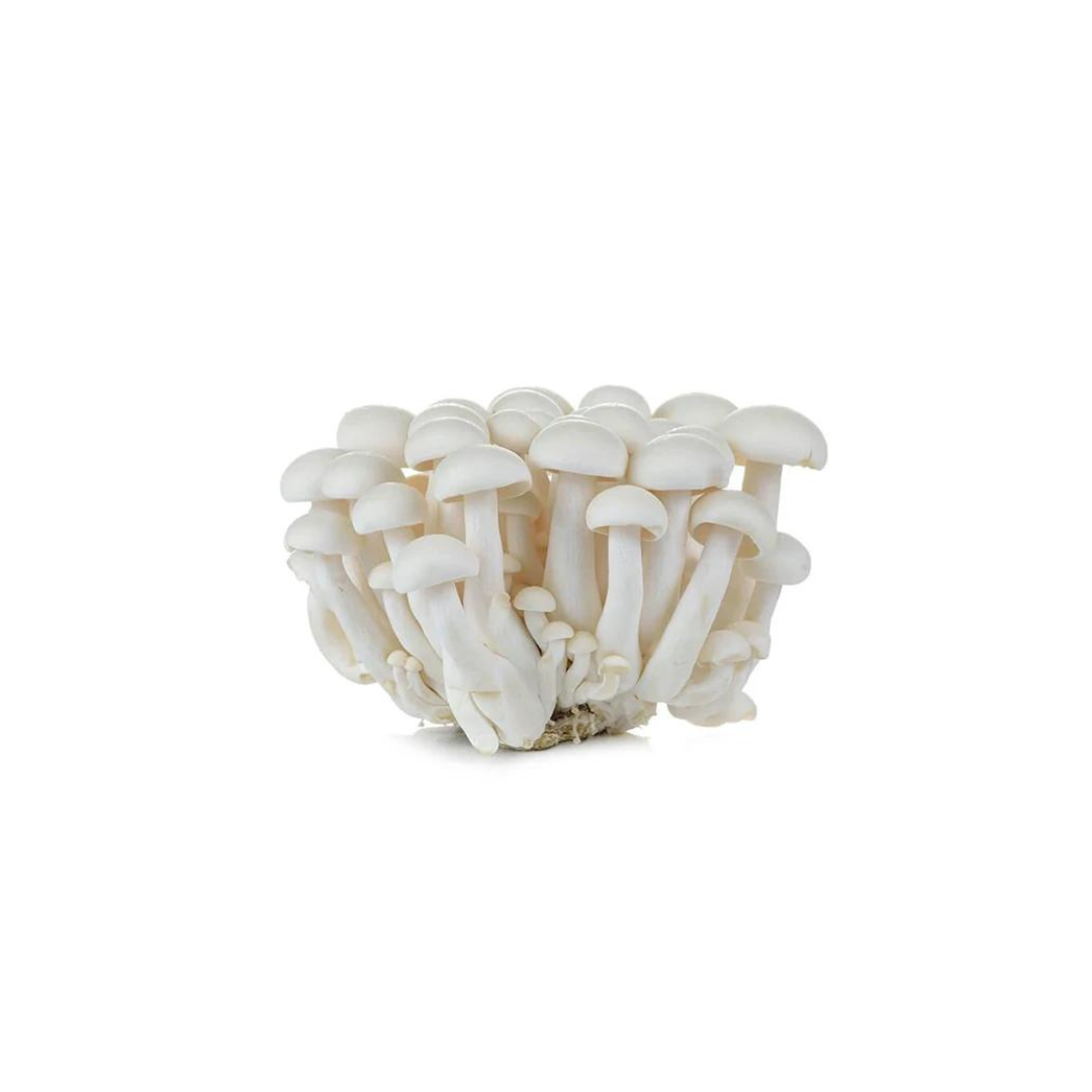 Shimeji White Mushroom (Fresh)