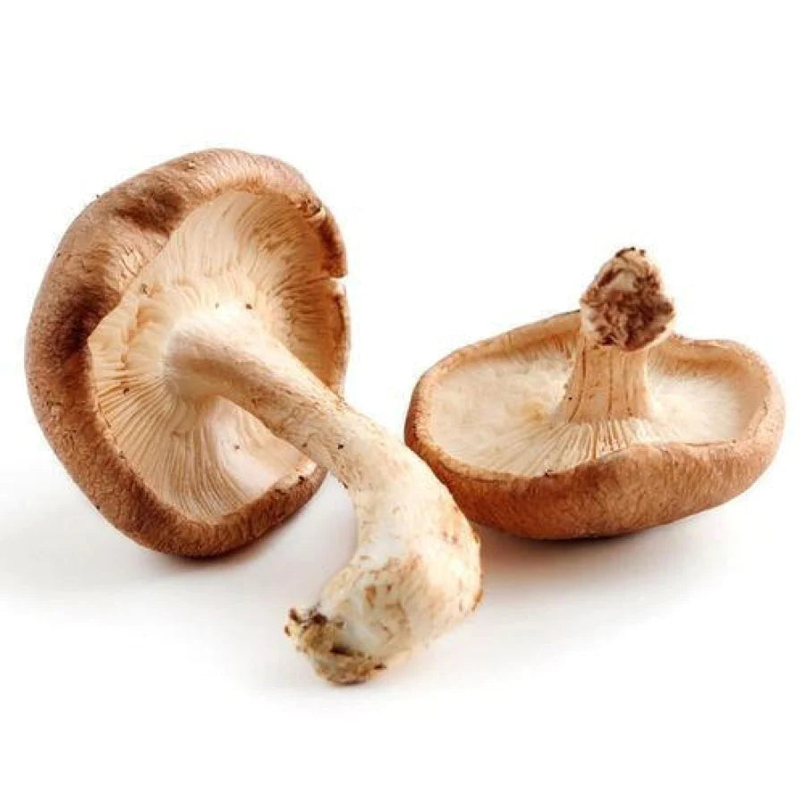 Shiitake Mushroom (Fresh)